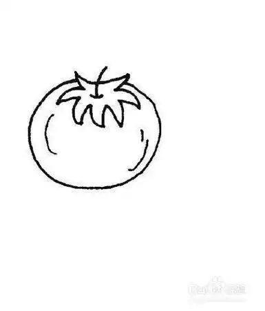 西红柿的简笔画西红柿简笔画西红柿简笔画步骤图解教程西红柿的简笔画