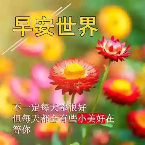 温馨的早上好问候祝福图片微信最美的早安祝福图片