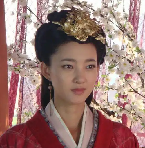 "王娡"华美剧照日前,汉室宫廷大剧《美人心计》在观众的热议过程中