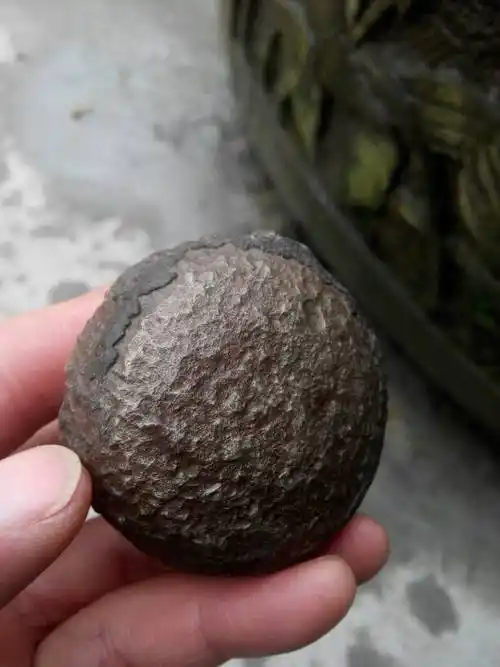 请教懂陨石的行家:250克没磁性,褐色金属,是什么金属?