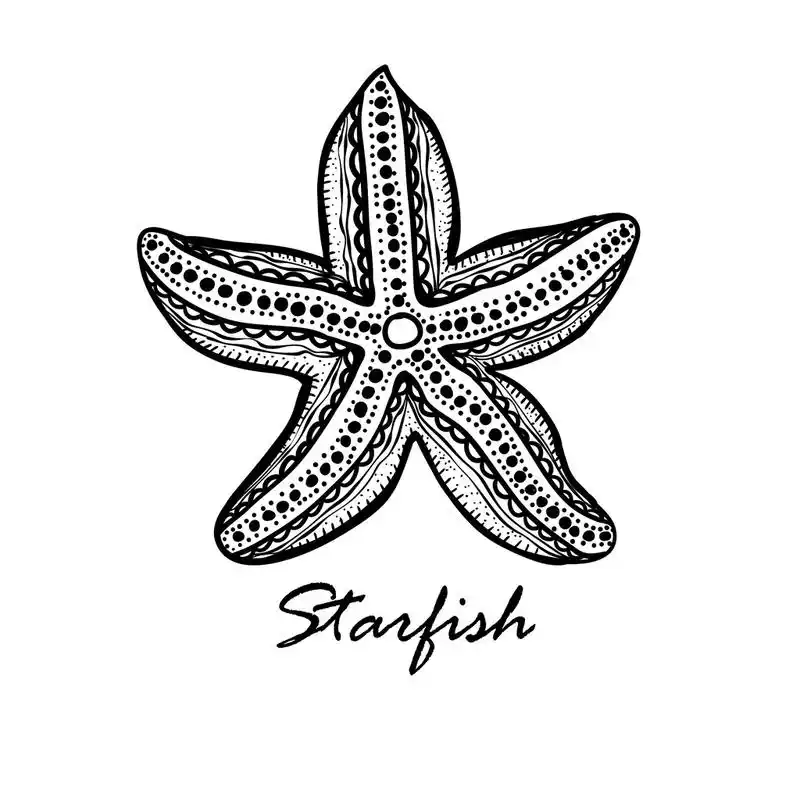 涂鸦纹理的海星.,涂鸦纹理的海星.