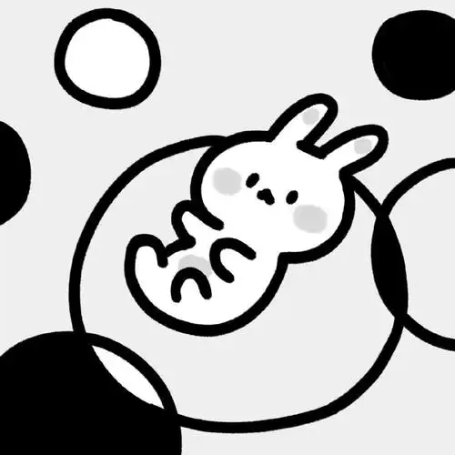 可爱的黑白小兔