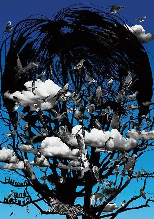 国际海报双年展获奖作品赏