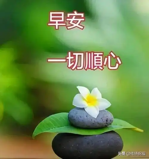 甄选最新早上好表情祝福,甜甜的问候,祝你开心每一天