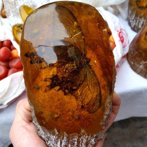 今传福琥珀蜜蜡原石虫珀摆件 真蝴蝶标本工艺品 琥珀原石办公室客厅景