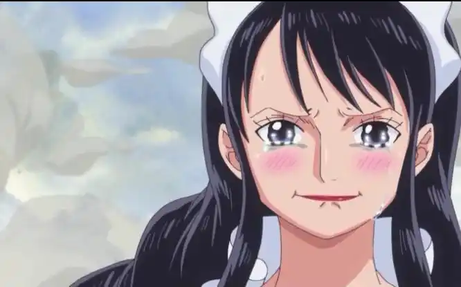 海贼王人物志baby5