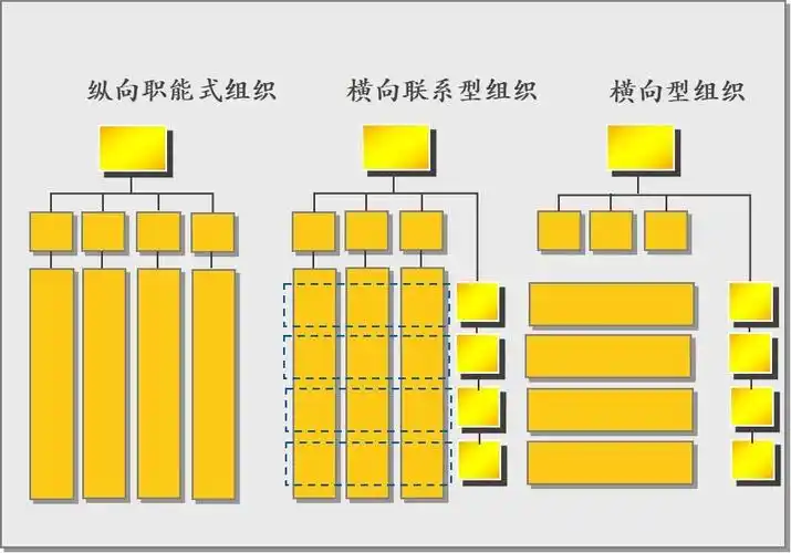 矩阵式组织有很多,这里就举例产品与职能矩阵用以说明.