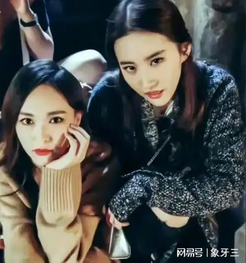 短短6个字暴露了刘亦菲和唐嫣的关系难怪杨幂不愿靠近