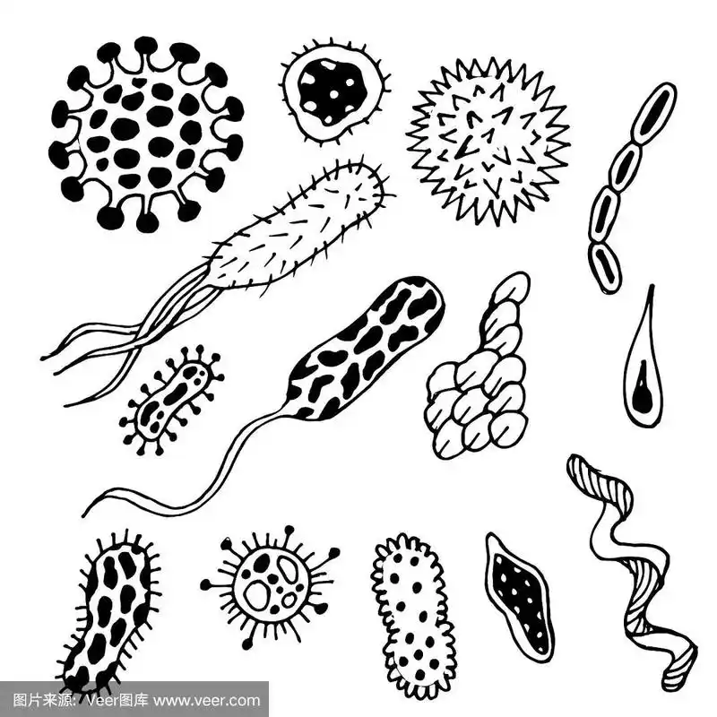 在白色上涂鸦不同的细菌