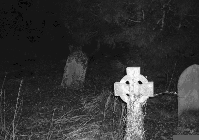 411_290gif 动态图 动图