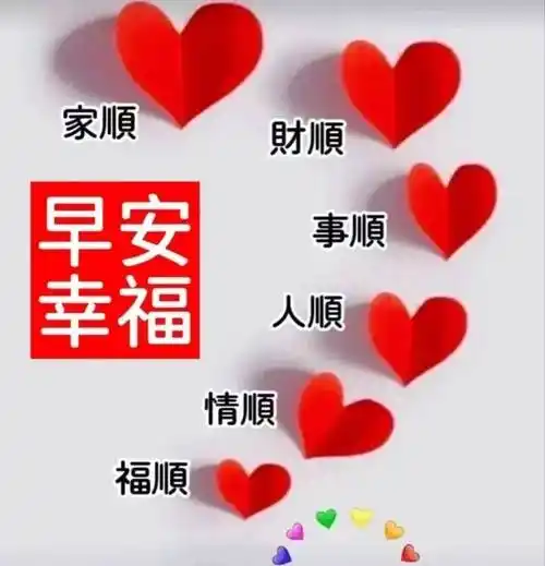 9张最新创意唯美的冬日早安祝福图片带字 不用打字聊天的早上好问候