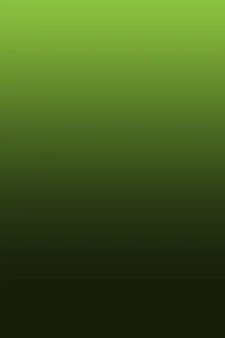 320_480竖版 竖屏