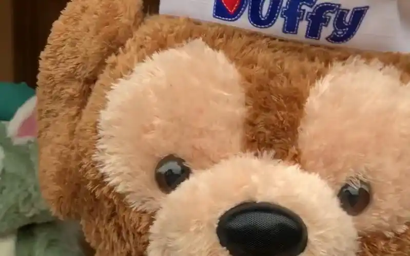 【上海迪士尼】和达菲牵手成功_哔哩哔哩 (゜-゜)つロ 干杯~-bilibili