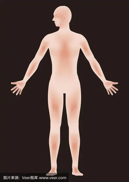 人体剪影,从侧面看脸