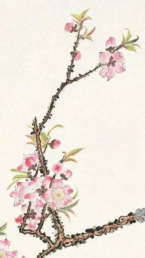 桃花,鹦鹉,真美!