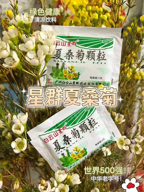 星群夏桑菊78老广特饮真的不能错过78