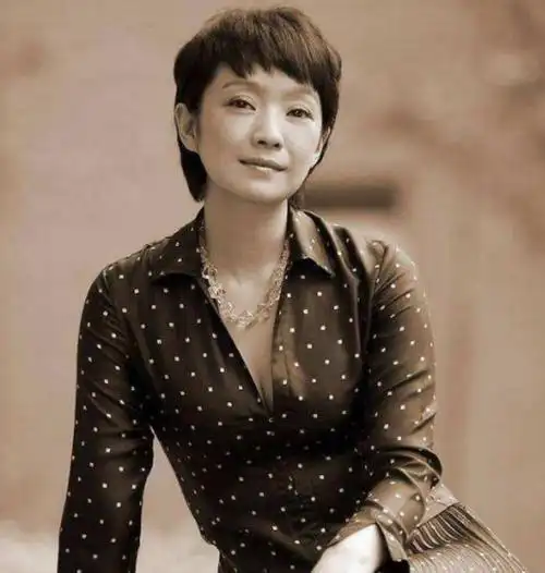 年轻时的王海燕很有气质,现在的颜值和当年比几乎没有什么变化,但是