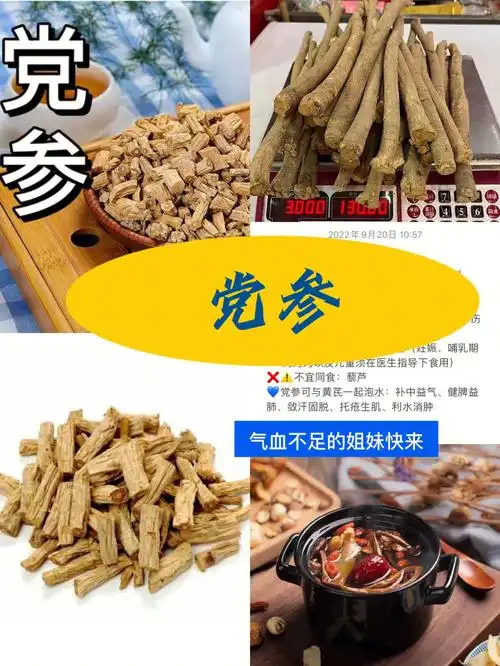 补气血这么吃党参真是补气血天花板