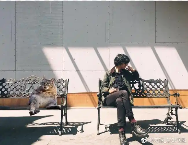 痛仰乐队宋捷太帅了了8