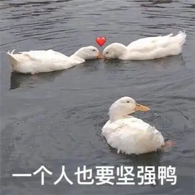 可爱的沙雕动物表情包大全最火的日常沙雕表情包