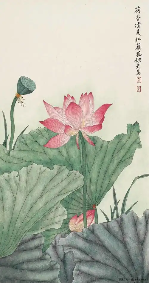 怒波鱼国画荷花集锦