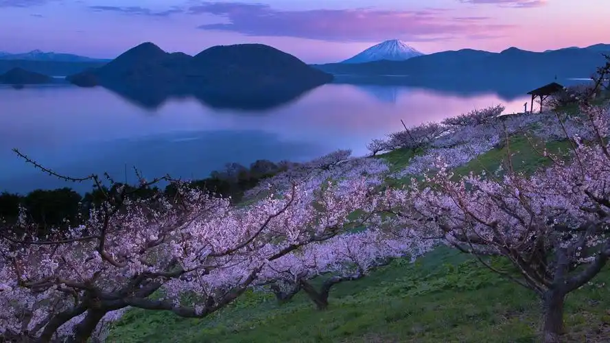 淡定是人生阅历积累起来的练达