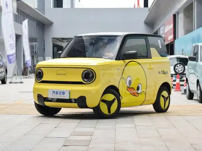 吉利汽车 熊猫mini 2023款 200km 小黄鸭限定版 幸运吖