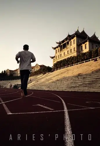 求一张夕阳下球场奔跑的图片