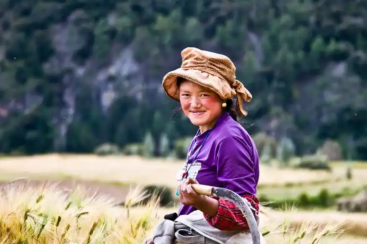 川西掠影之十七--2014_09_26-- 杜鹃谷--4--勤