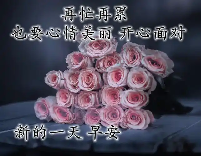 最新创意早上好问候祝福语图片,不用打字的早安问候祝福图片精选