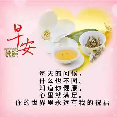 最新版的早上好短语句子,早上好祝福语图片大全