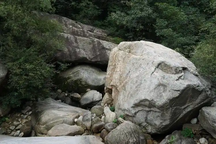 没看见几个神潭的时候,谷里整块的大山石真大