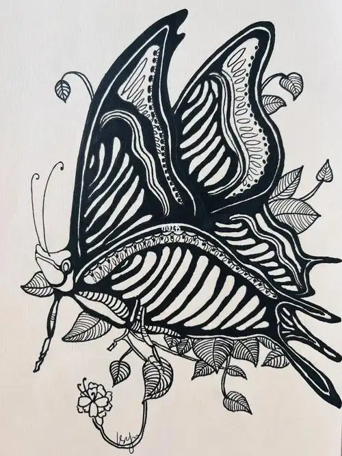 线描装饰画蝴蝶03