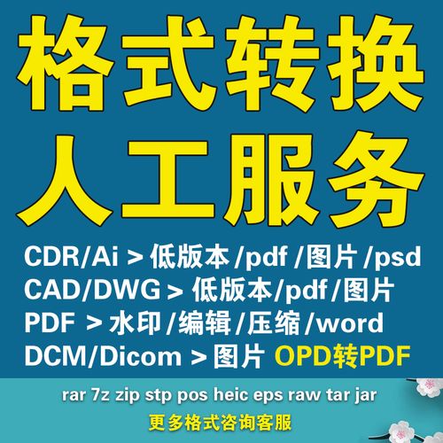 cdr ai pdf cad dwg dcm文件转换格式版本打开人工服务rar zip