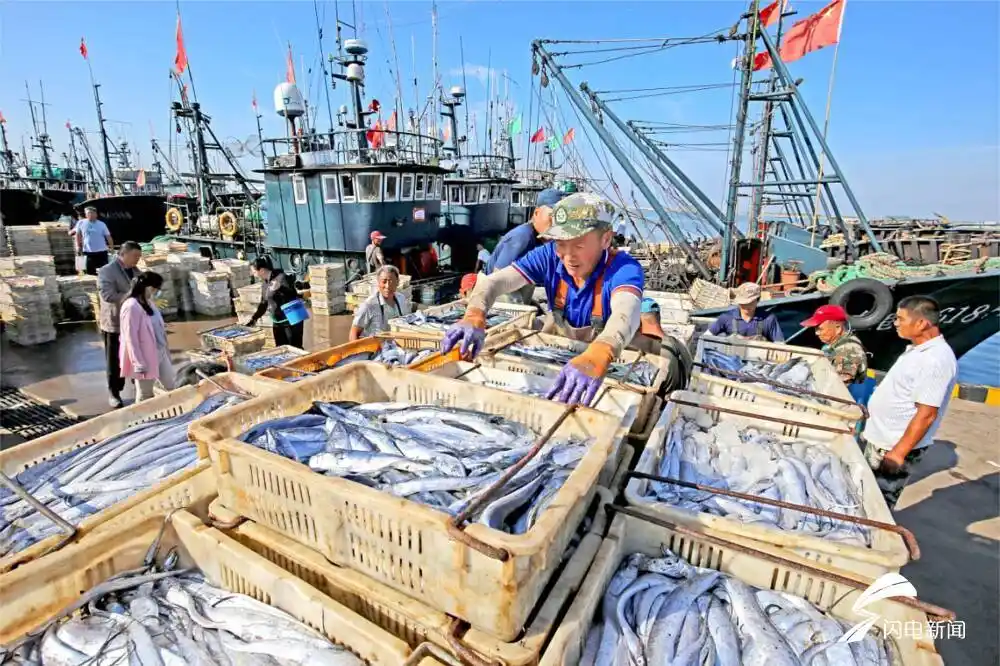 日照:开海后首批渔船满载而归 收获喜悦