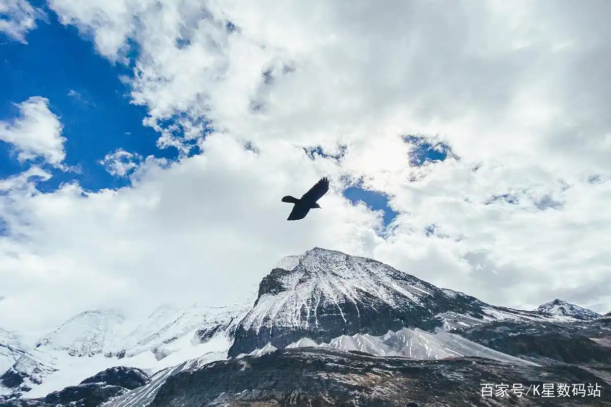 颜值为主,更换iphone12后,我为女王大人准备了这些配件
