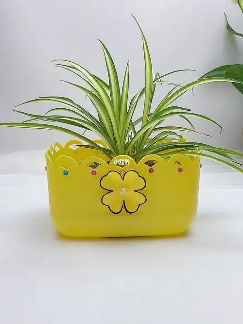 洗洁精瓶子可以改造成花盆或收纳盒,简单又好看,快一起造起来吧#手工