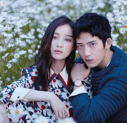 分手6年后,再看井柏然境遇,才发现他和倪妮本就不是一路人