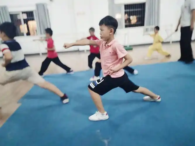 宝宝功夫――体苑武道