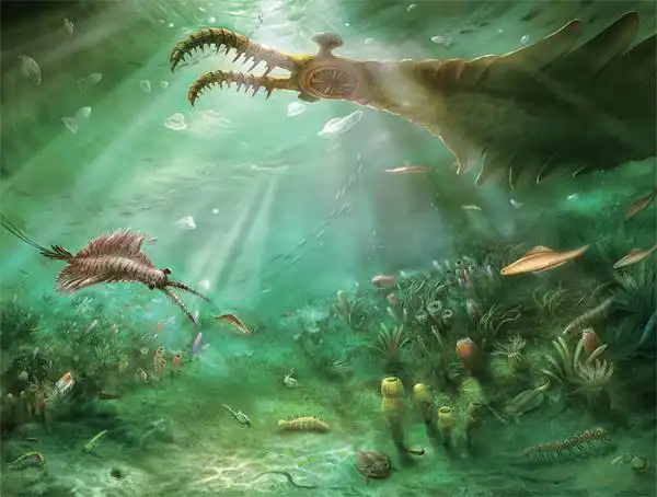 古代生物的宝库.