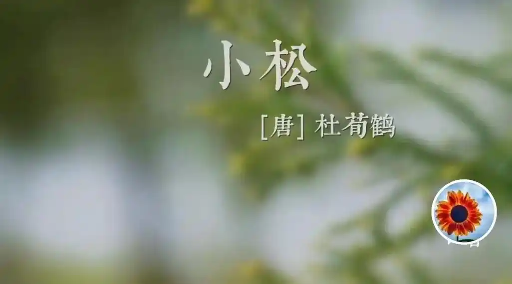 杜荀鹤(唐)小松  #静心看世界 - 抖音