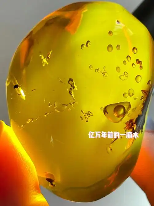 缅甸琥珀超级大活水胆