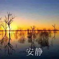 安静淡然的意境图片带文字点击鼠标右键下载