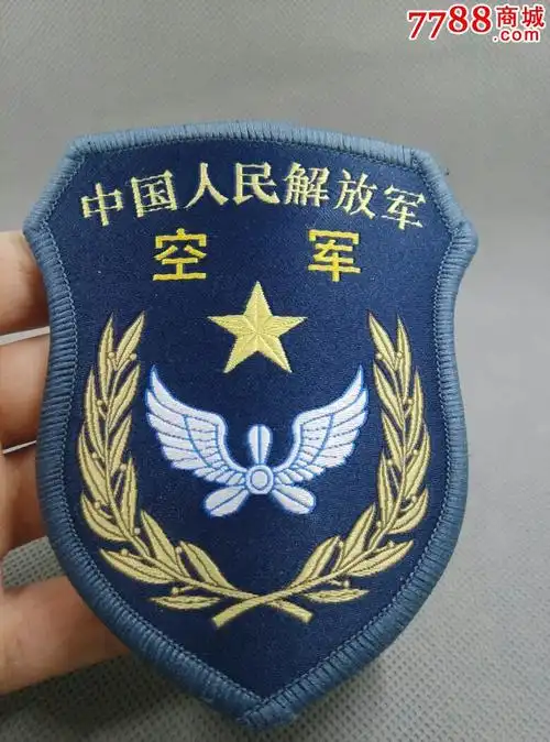 退役空军臂章