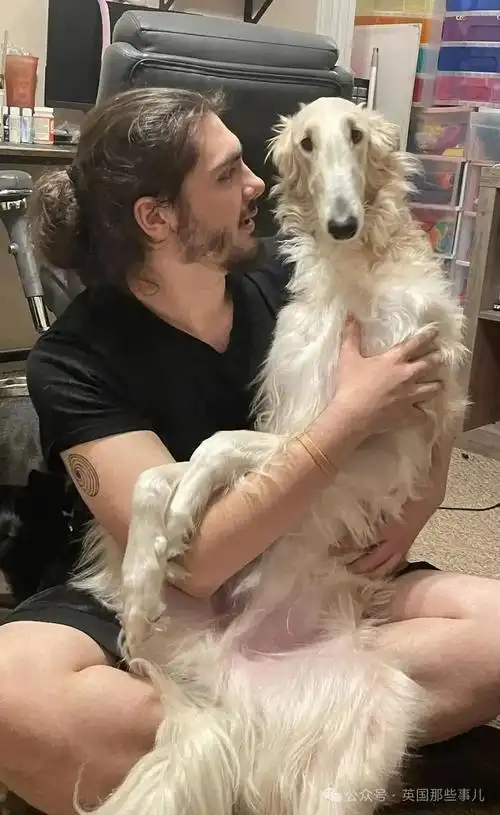 性感肌肉男失宠,z世代偏爱"贼眉鼠眼"型新帅哥.