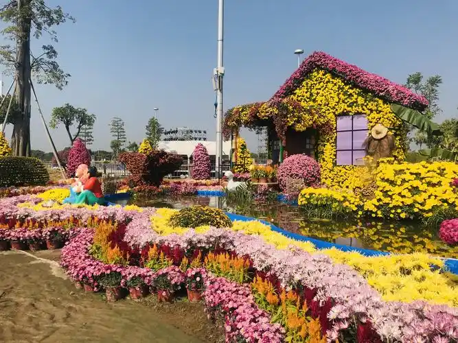 2020.小榄菊花会