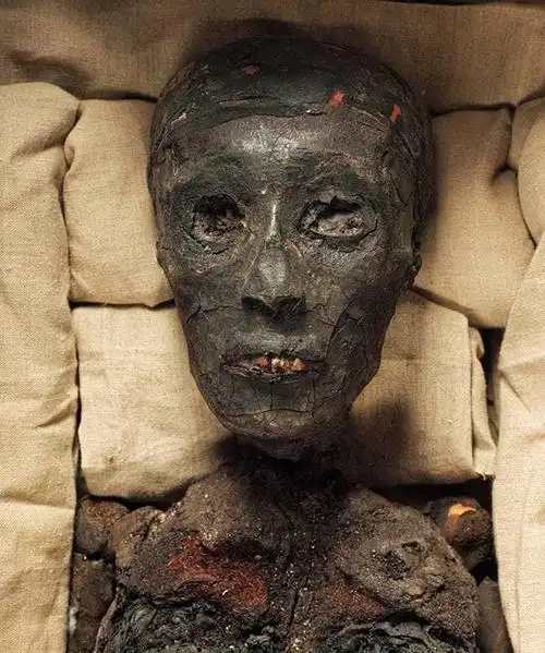 木乃伊的图片资料(世界上最神秘的六具木乃伊)