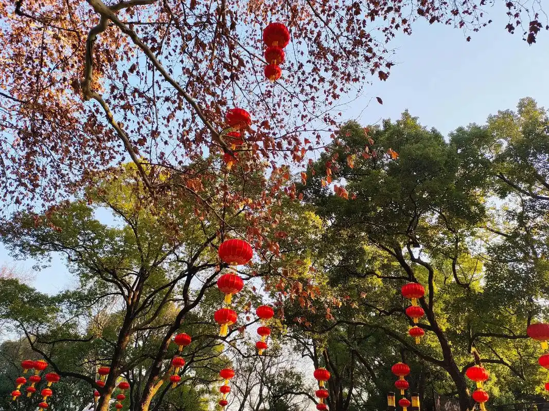 手机摄影 #记录真实生活 #城市记忆 #随拍 #分享照片  - 抖音