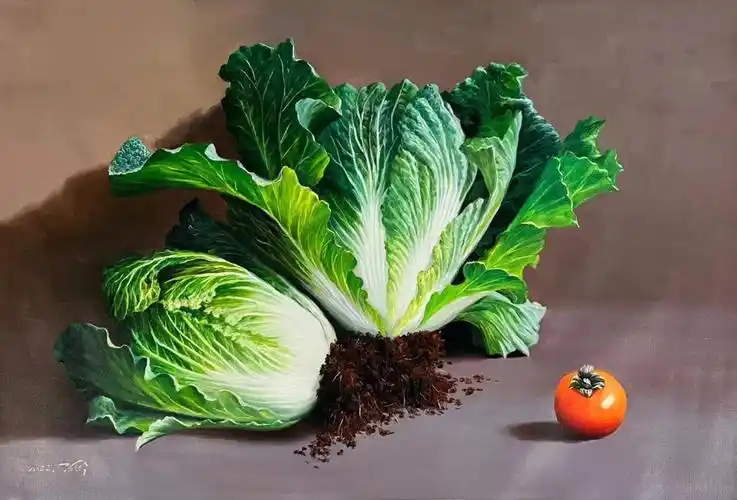 手绘油画白菜百财6090cm