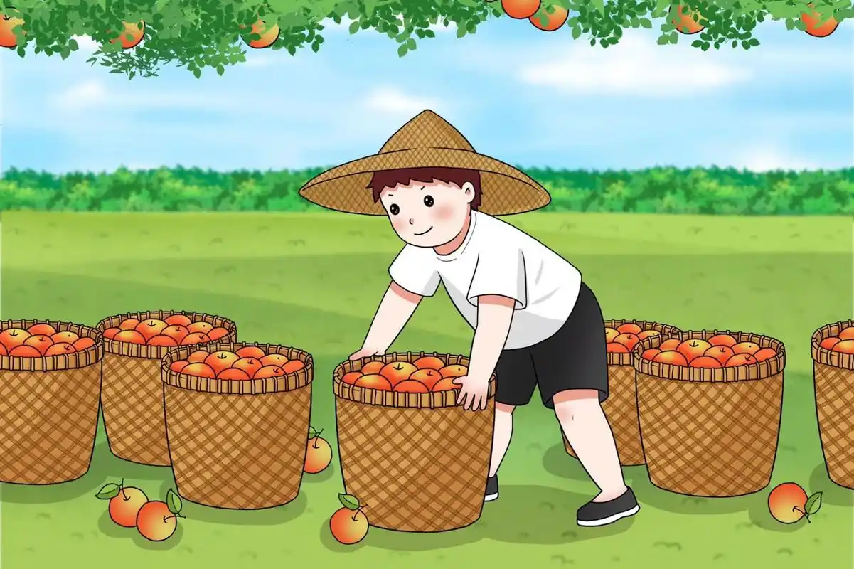 秋收插画|九月是丰收的季节 93秋天是收获的季节,是万物生长成熟的